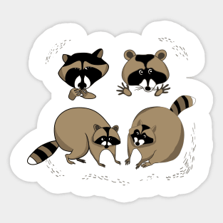 Four raccoons Sticker